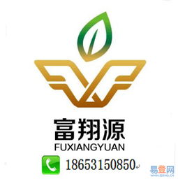 濟(jì)南公司代理記賬服務(wù)詳解 歷城區(qū)洪家樓易登網(wǎng)與知識(shí)產(chǎn)權(quán)代理的協(xié)同優(yōu)勢(shì)