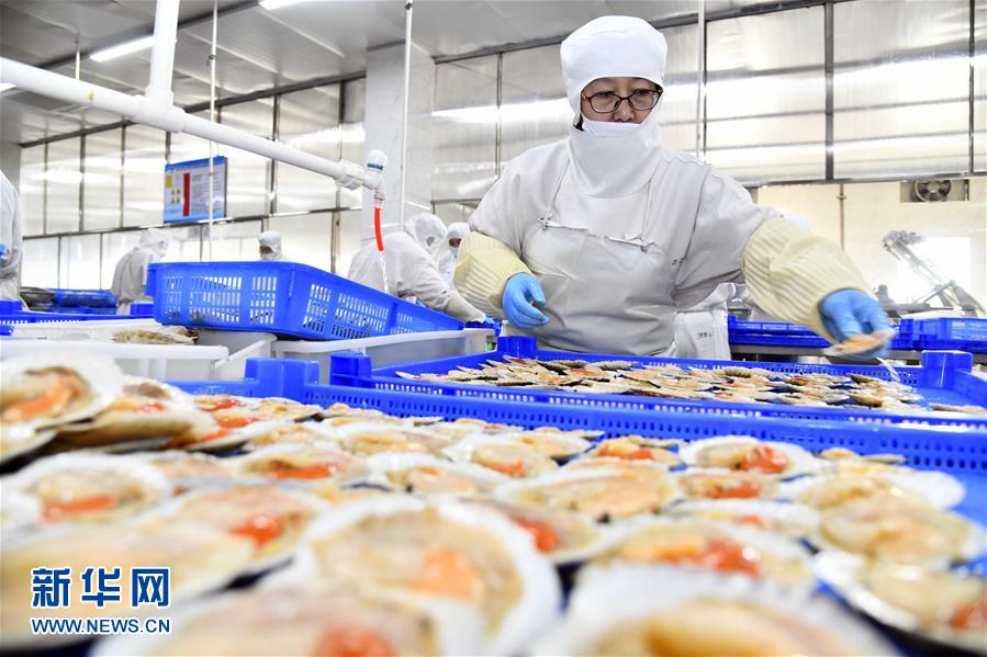 積極發展海洋食品加工產業，構建全產業鏈協同發展新格局